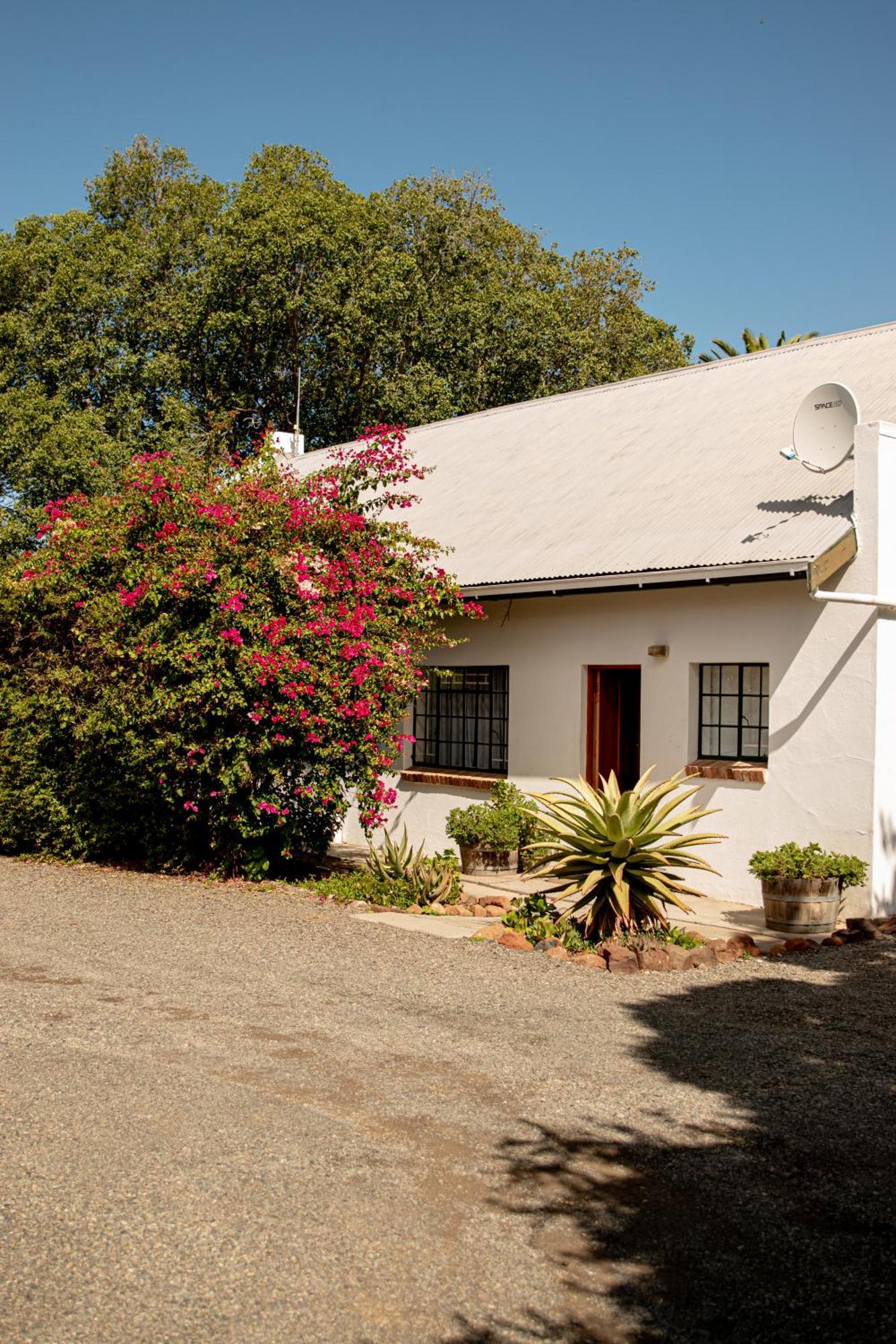 Graaff-Reinet 4 Rothman Street B&B מראה חיצוני תמונה
