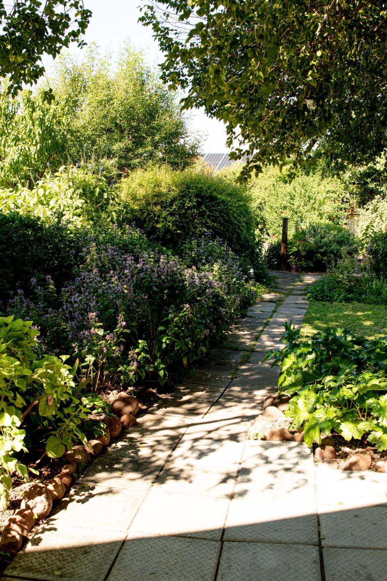 Graaff-Reinet 4 Rothman Street B&B מראה חיצוני תמונה
